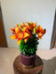 Asiatic Lily (百合花) in Dark Red Ceramic Pot