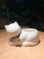 Adorable White Cat Pot