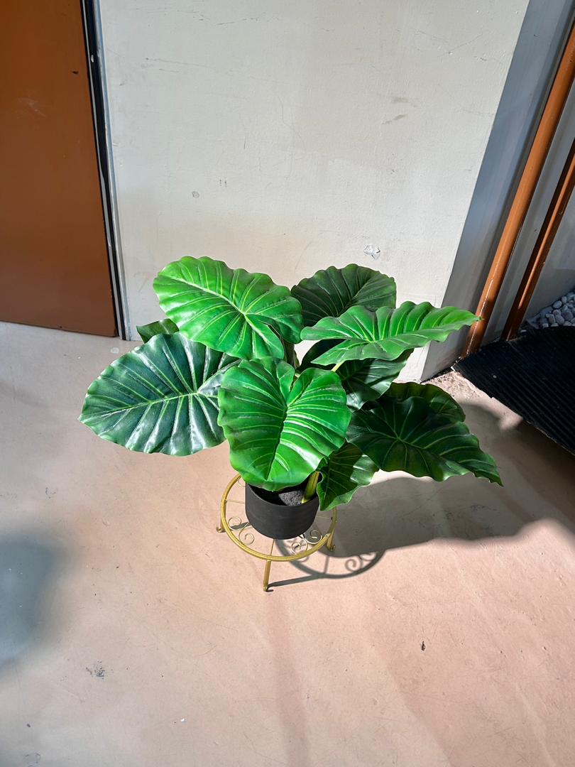 Artificial Elephant Ear Plant (象耳芋) in Black Polymer Pot