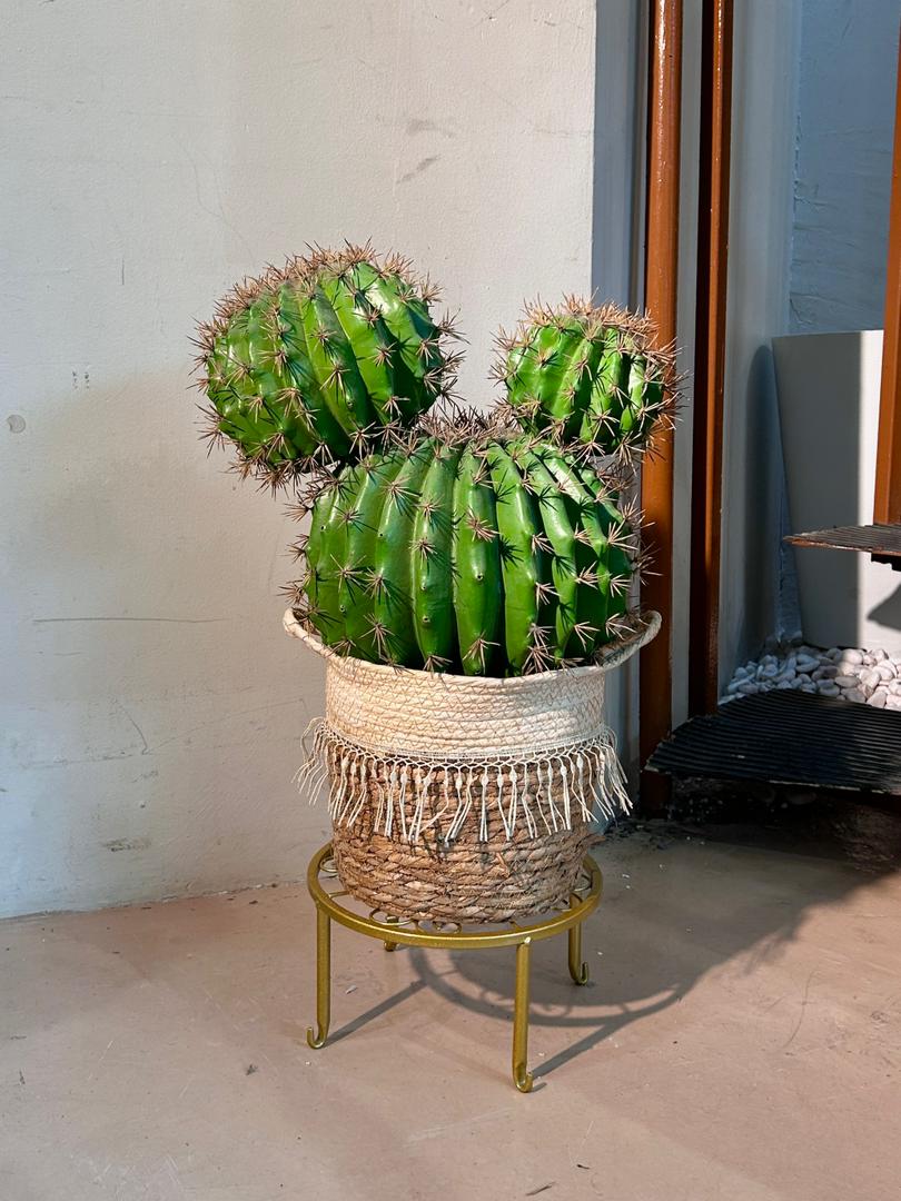 Artificial Cactus (仙人掌) in Woven Basket Pot