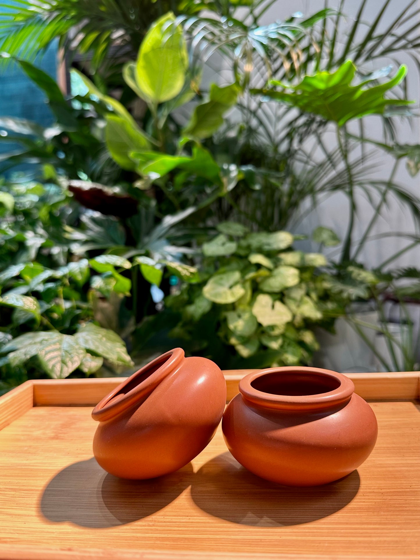 Zen Style Designer Pot