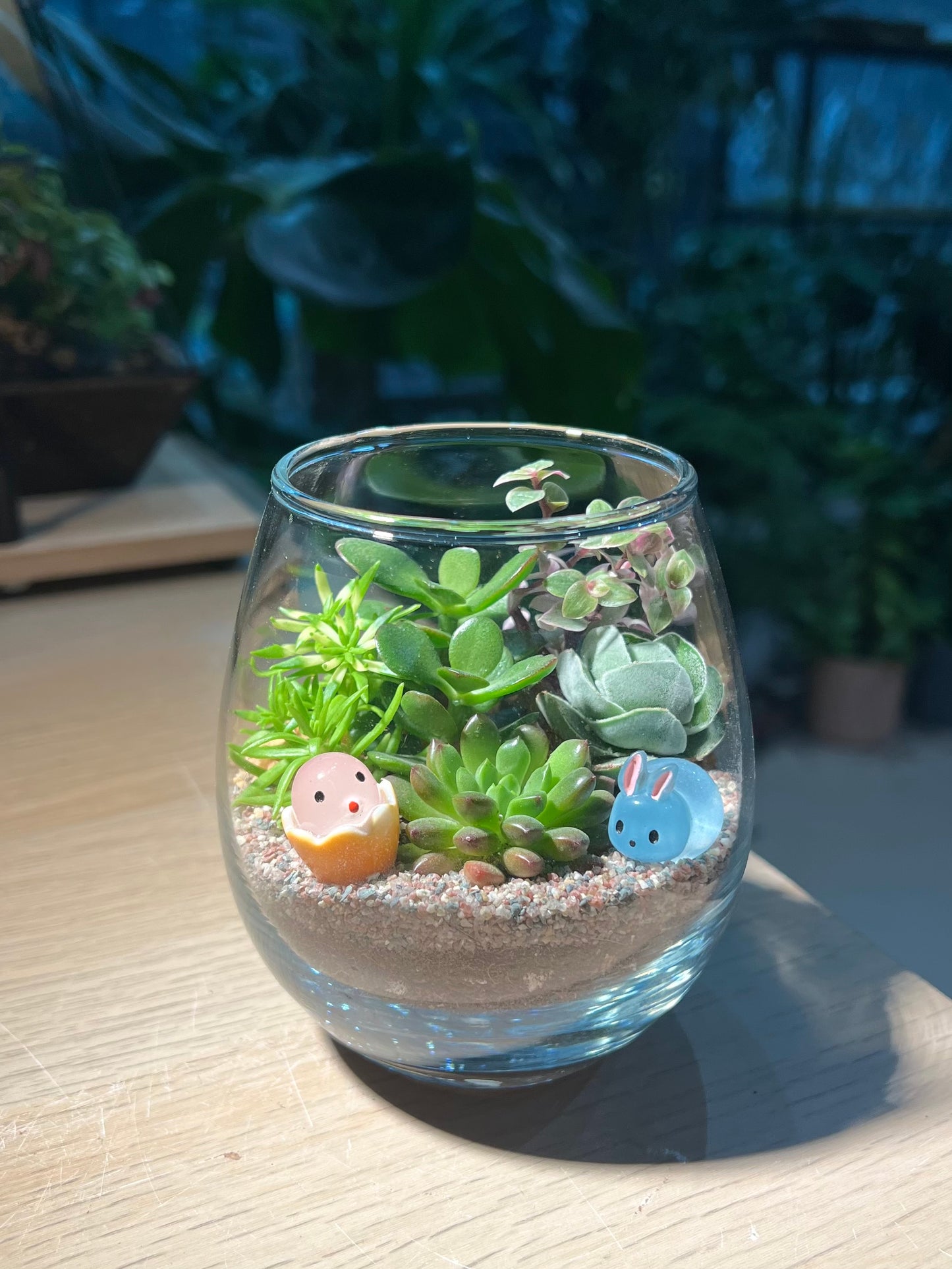 Succulent Terrarium in Tall Crystal Glass