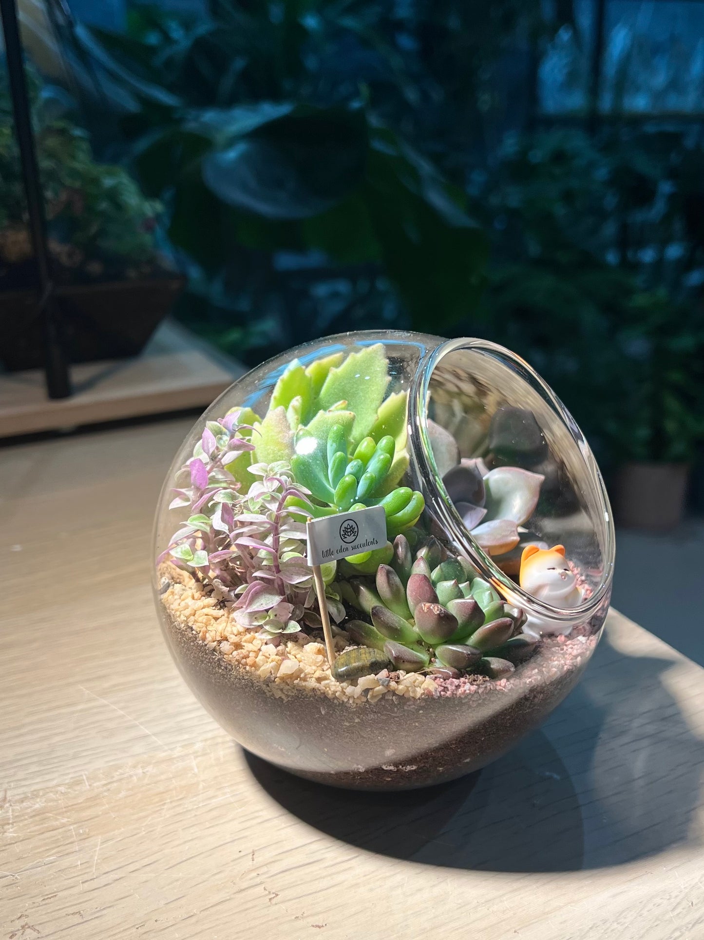 Succulent Terrarium in Round Glass (L)