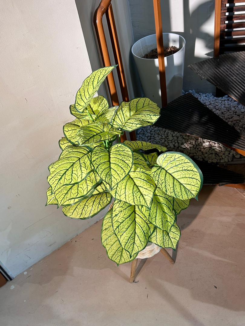 Artificial Caladium Lindenii (乳脉千年芋) in Brown Polymer Pot