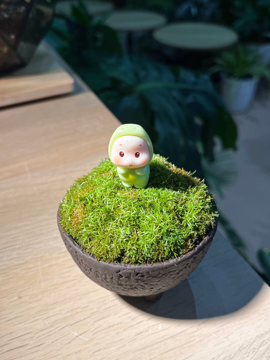Moss Arrangement in Textured Matt Black Pot