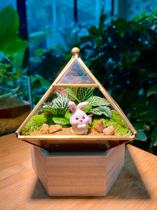 Fittonia & Moss Arrangement in Small Pyramidal Glass