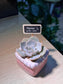 Teacher’s Day Gift - Echeveria in Pinkish Square Ceramic Pot