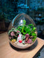 Fittonia and Bird Nest Fern with Moss Arrangement in Eggette Glass (L)