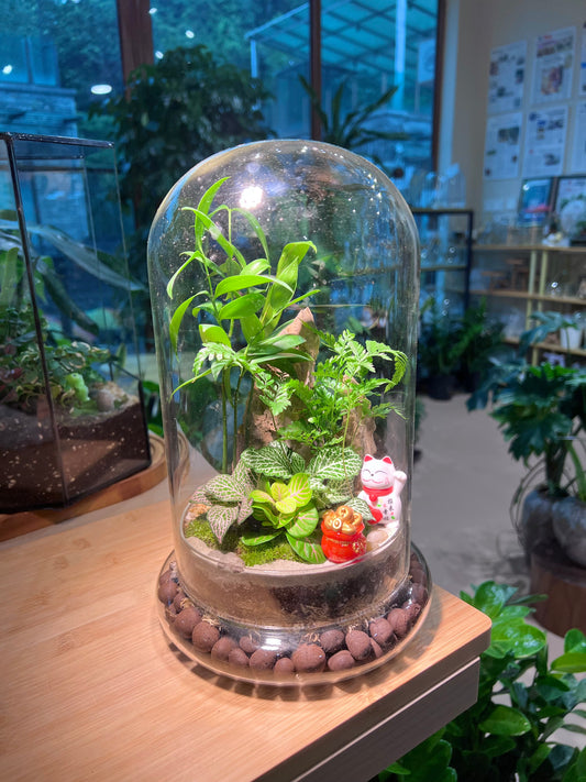 Fittonia and Fern with Moss Arrangement in Bell Glass Terrarium (L)