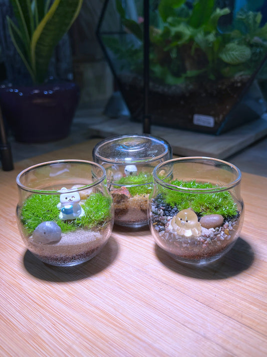 Moss Arrangement in Tea Glass Terrarium