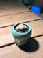 Lithops in Finger Glazed Ceramic Pot