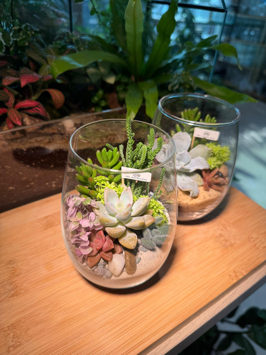 Succulent Arrangement in Tall Glass Terrarium