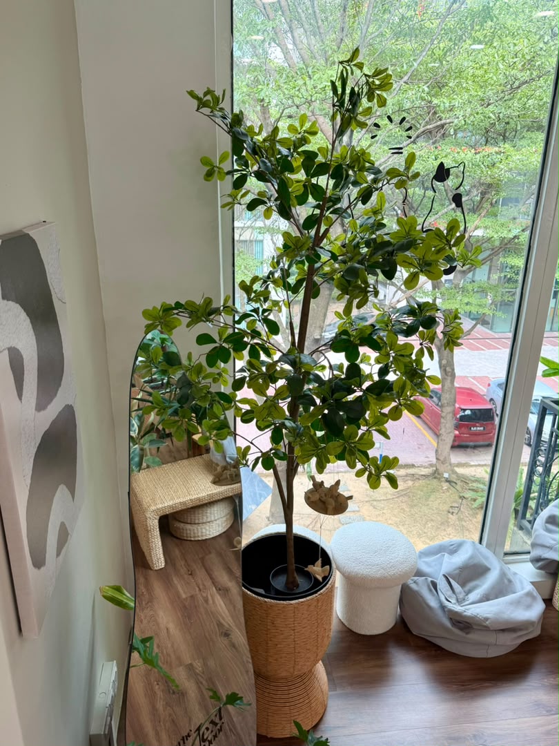 Artificial Dwarf Umbrella Tree (鸭脚木) Schefflera Arboricola in Woven Basket Pot