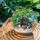 Fittonia and Fern in Round Glass Terrarium