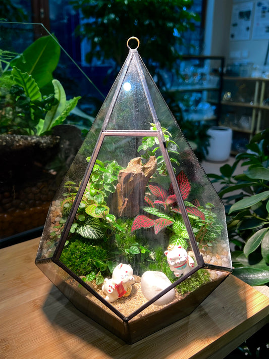 Fittonia & Fern with Moss Arrangement in Diamond Glass Terrarium (L)