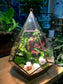 Fittonia & Fern with Moss Arrangement in Diamond Glass Terrarium (L)