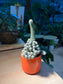 Peanut (Cactus) in Ceramic Pot