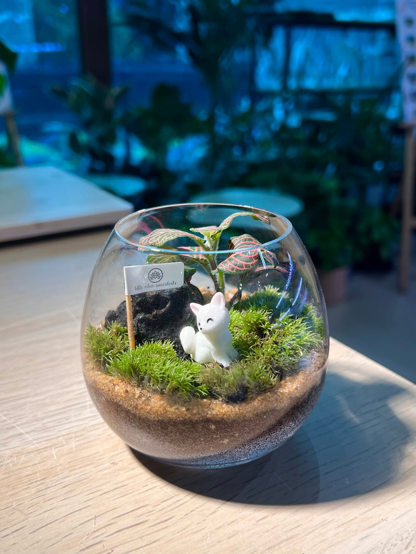 Fittonia with Moss Arrangement in Wine Glass