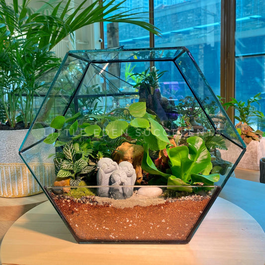 Hexagon Designer Glass Terrarium