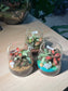 Door Gift - Indoor Plant Terrarium in Fuji Glass (10pcs/set)
