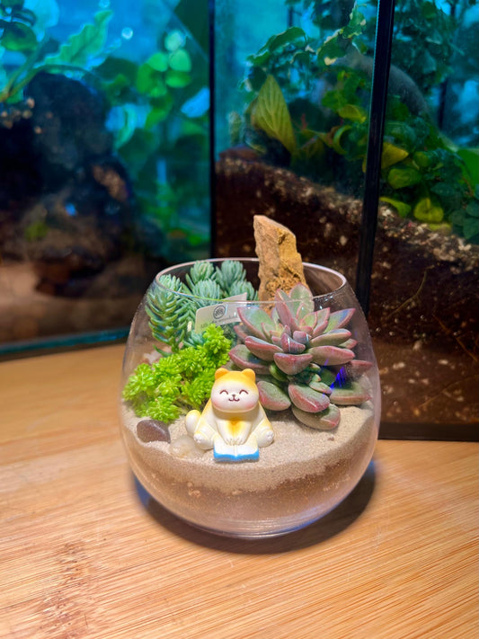 Succulent Arrangement in Wine Glass