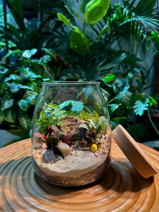 Fittonia and Fern in Glass Jar Terrarium with Cork