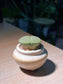 Lithop (生石花) in Small Spinning Top Ceramic Pot