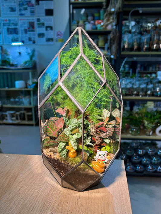 Indoor Plant Arrangement Fittonia & Moss & Asparagus Fern (η½ηΊΉθ & θθ & ζη«Ή) in Polygonal Glass