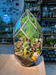 Indoor Plant Arrangement Fittonia & Moss & Asparagus Fern (网纹草 & 苔藓 & 文竹) in Polygonal Glass