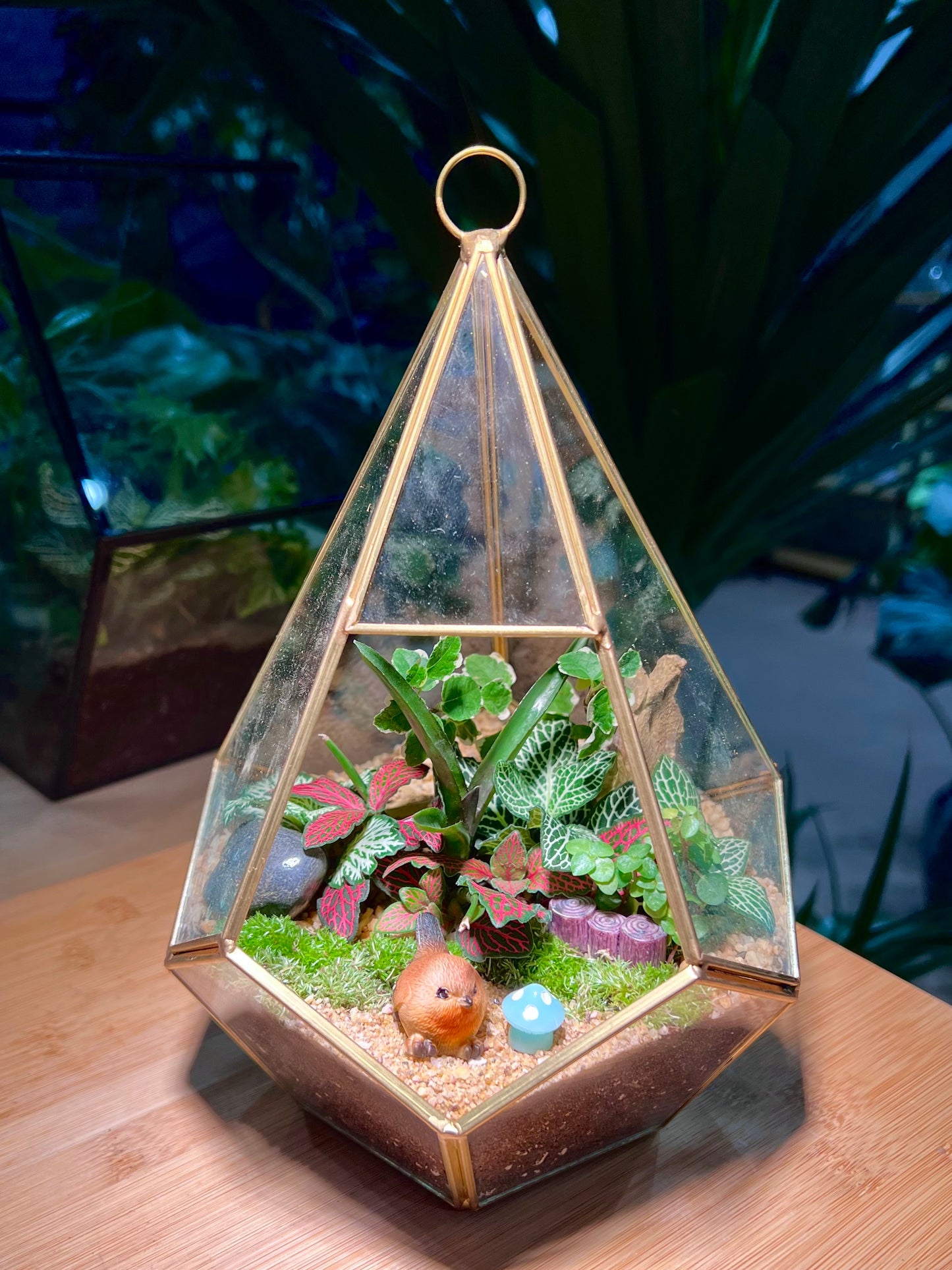 Fittonia and Ficus Pumila with Moss Arrangement in Diamond Glass without Lid (M)