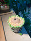 Stephania (山乌龟) in Groot Pot