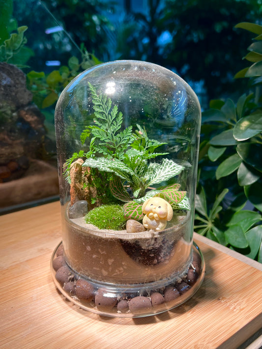 Fittonia & Fern with Moss Arrangement in Bell Glass Terrarium (S)