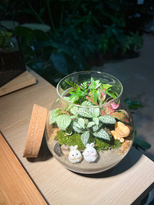 Fittonia, Fern with Moss Arrangement in Round Covered Glass Terrarium (M)