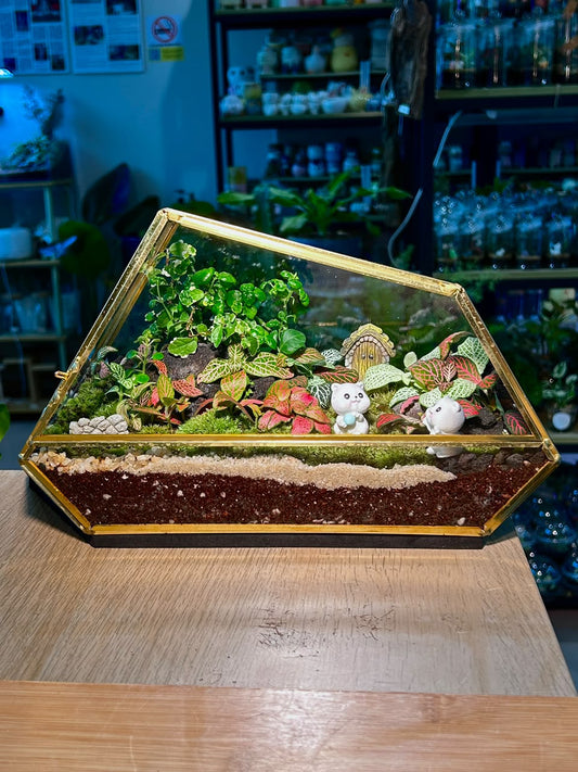 Indoor Plant Arrangement Pumila & Fittonia & Bubble (θθ & η½ηΊΉθ & ι»ηΎδΊΊ) in Golden Polygonal Glass with Lid
