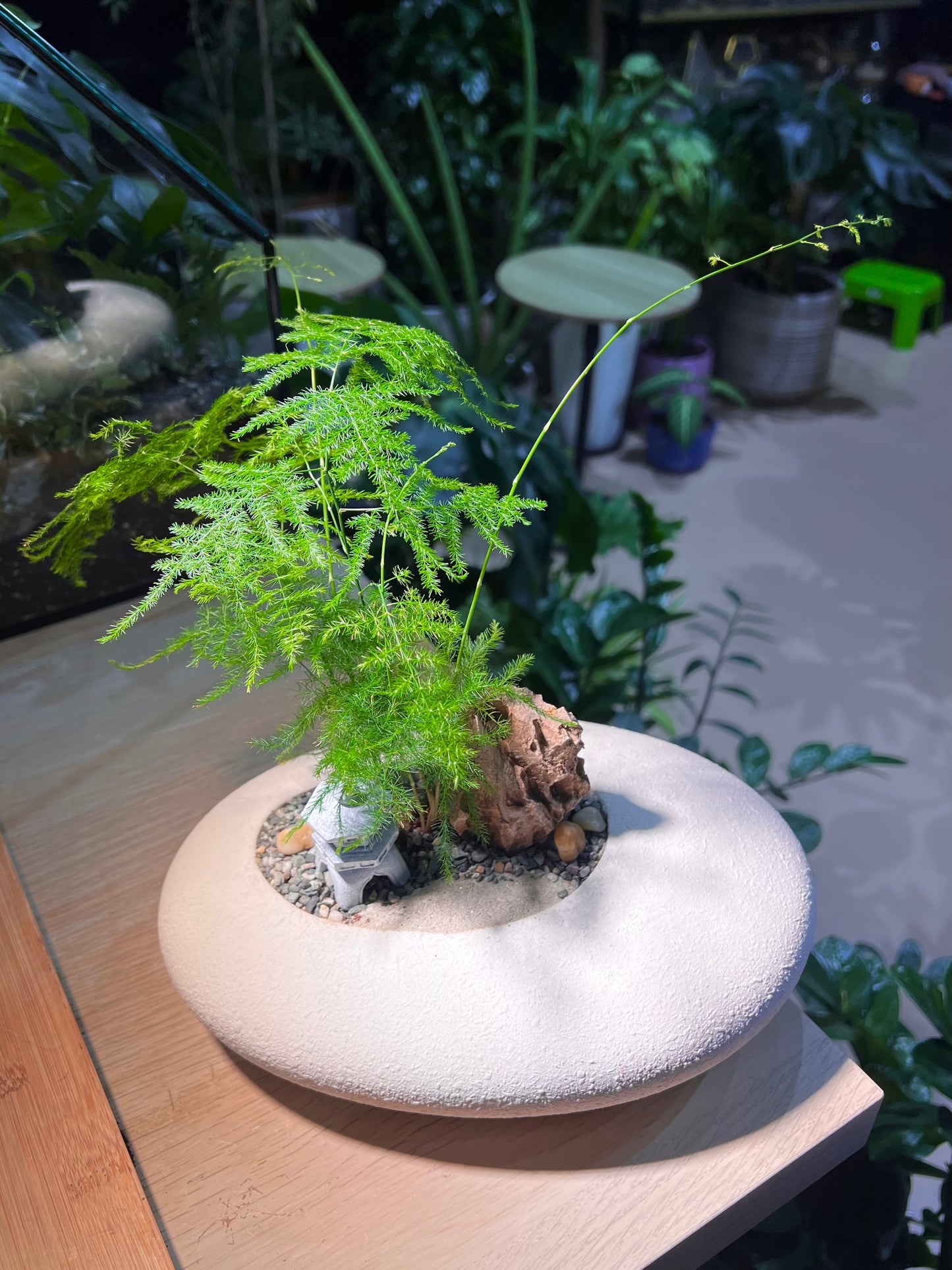 Asparagus Fern in White Stone Faux Pot