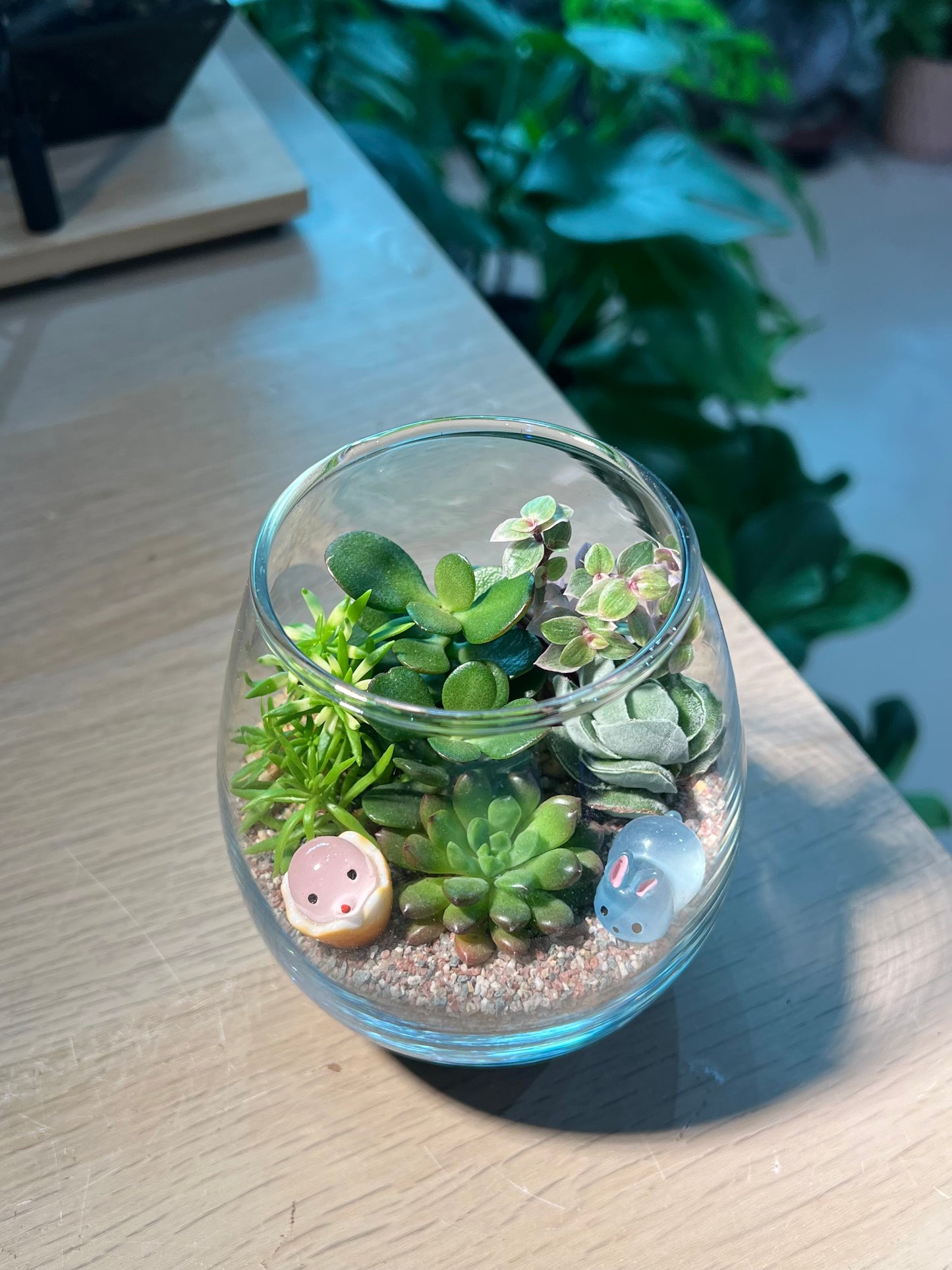 Succulent Terrarium in Tall Crystal Glass