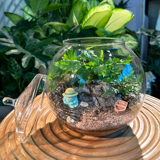 Ferns in Round Glass Terrarium