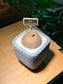 Stephania in Zen Grey Ceramic Pot