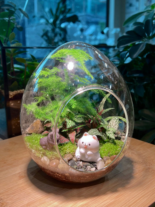 Fittonia and Asparagus Fern with Moss Arrangement in Eggette Glass