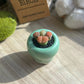 Lithops combo in finger glazed ceramic pot