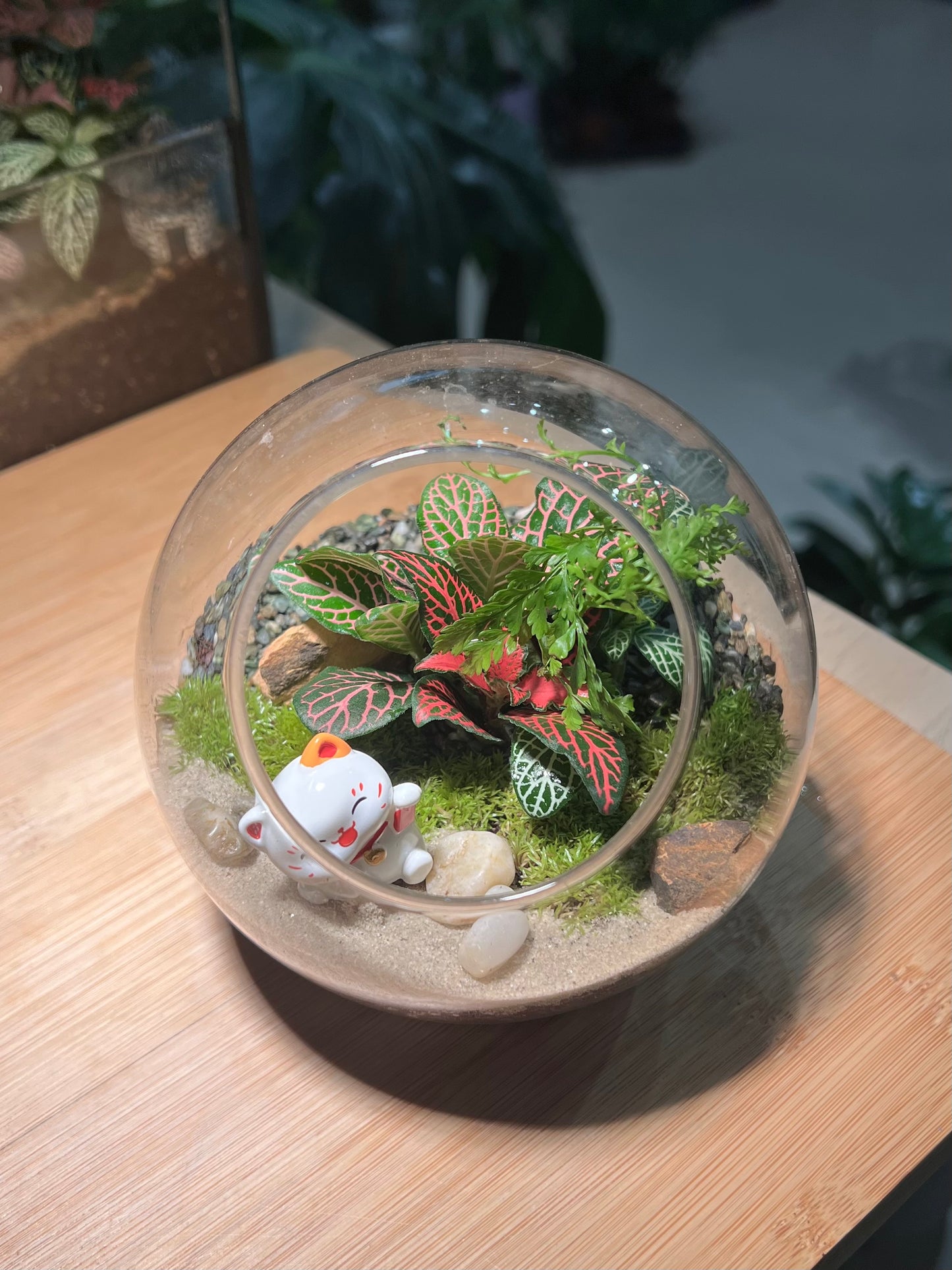 CNY Theme - Fittonia and Fern with Moss Arrangement in Round Glass Terrarium