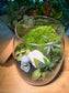 Zen Monk Moss Terrarium