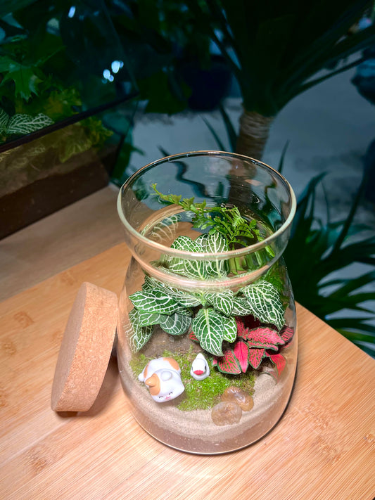 Fittonia and Fern with Moss Arrangement in Cover A Line Jar Glass