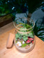 Fittonia and Fern with Moss Arrangement in Cover A Line Jar Glass