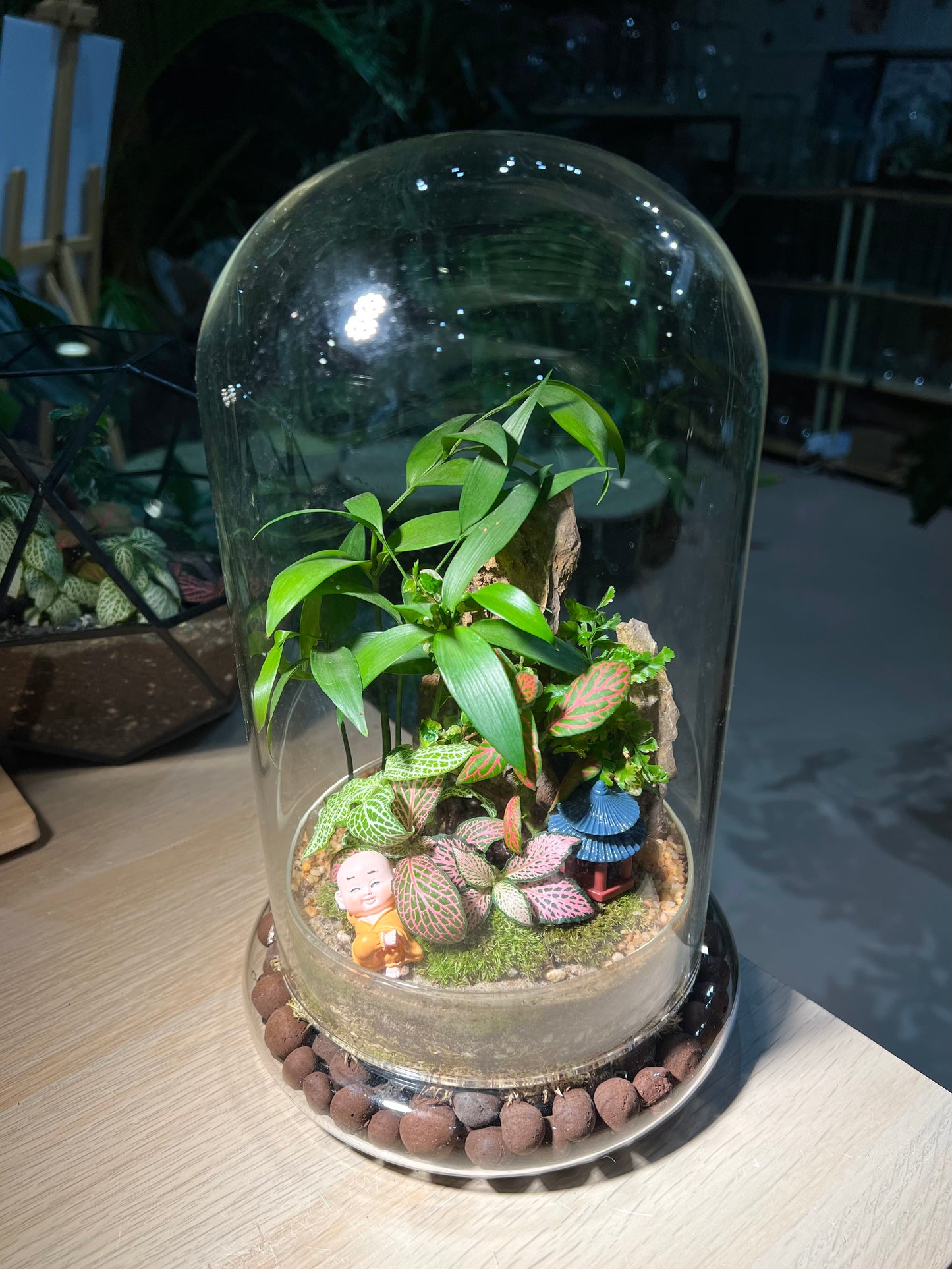Fittonia and Nageia Nagi with Moss (Indoor Plant) Arrangement in Bell Glass Terrarium (L)