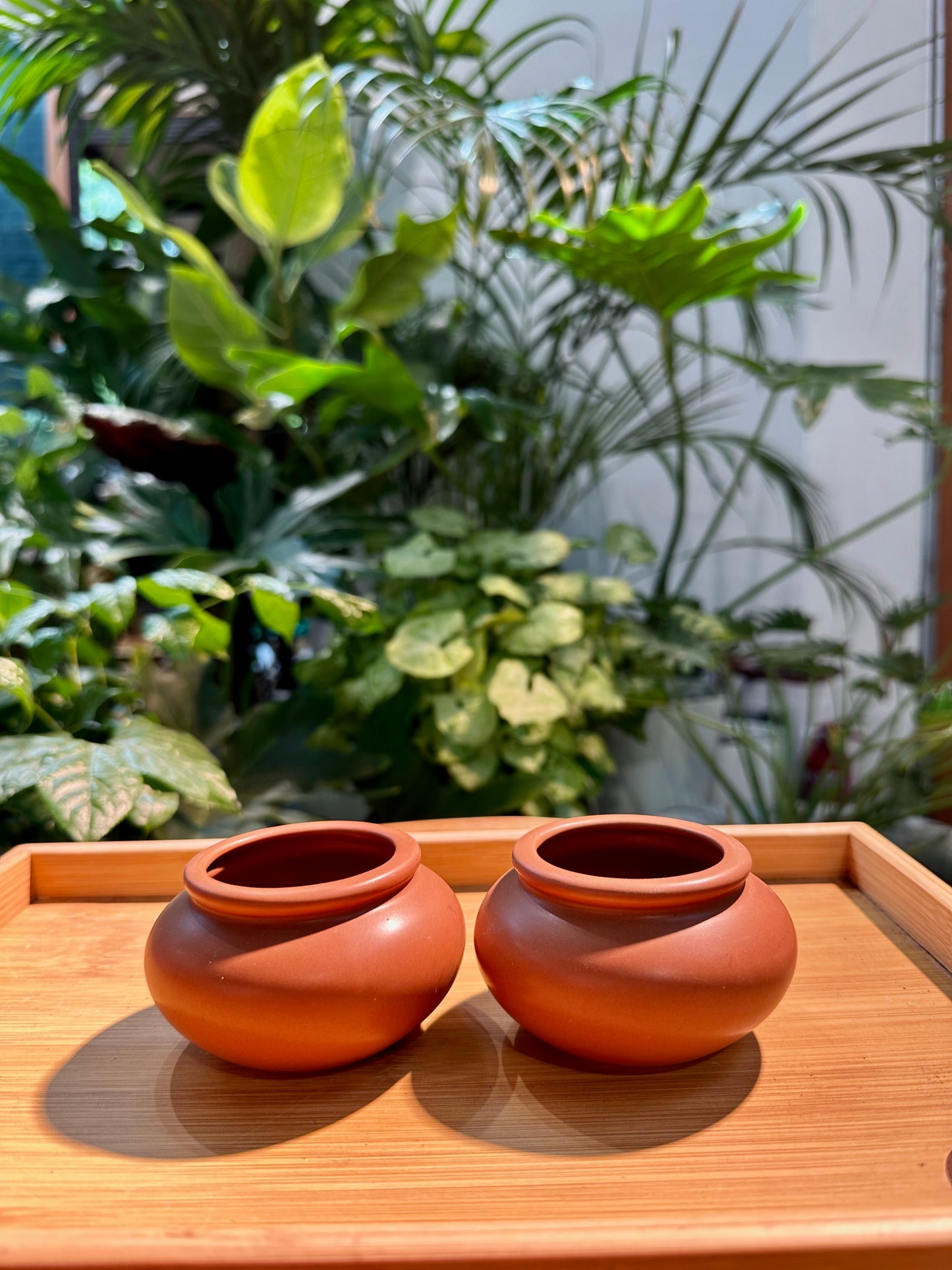 Zen Style Designer Pot