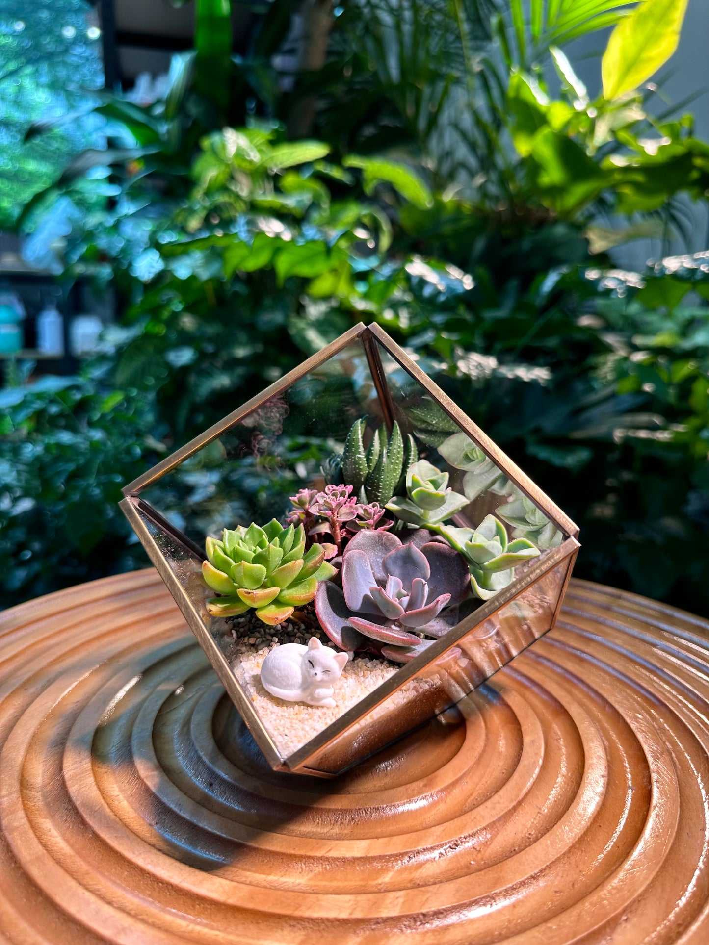 Golden Frame Cubical Succulent Terrarium