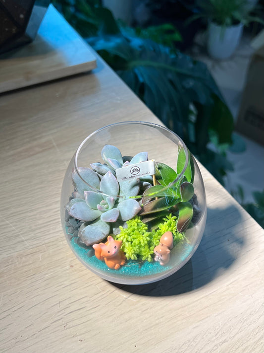 Wine Glass Succulent Terrarium Workshop