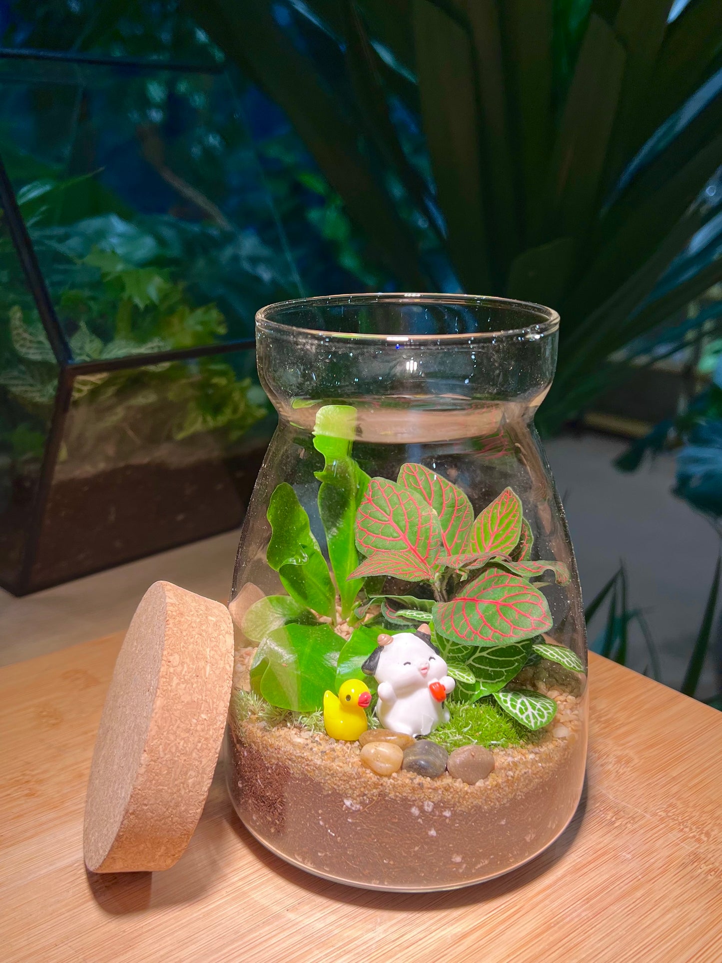 Fittonia and Fern with Moss Arrangement in Cover A-Line Jar Glass