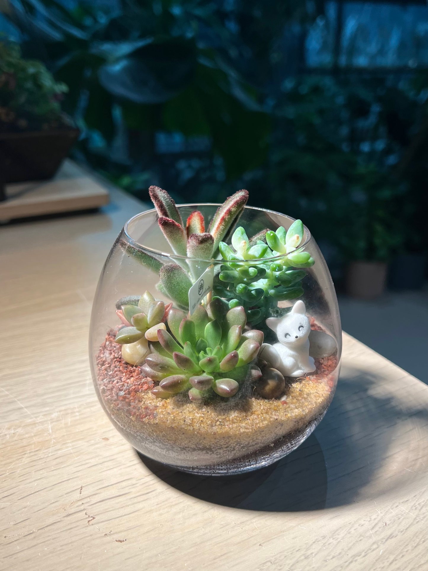 Succulent Terrarium in Crystal Glass